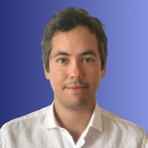 sunflight-martin-perez-bustos